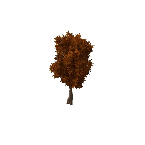 Tree Tall 2 (Autumn)